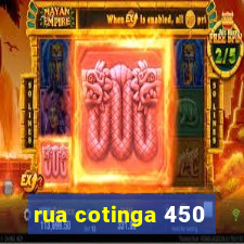 rua cotinga 450