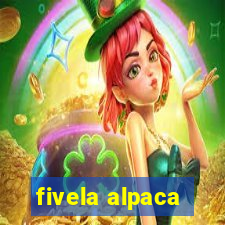 fivela alpaca