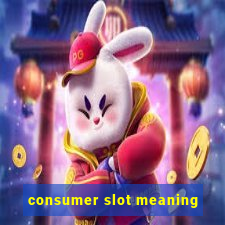 consumer slot meaning