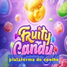 plataforma do coelho