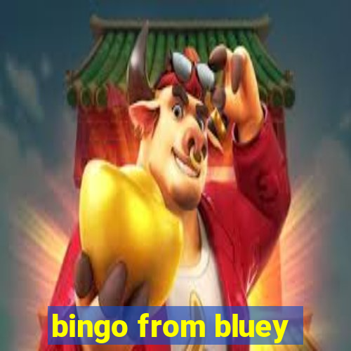 bingo from bluey