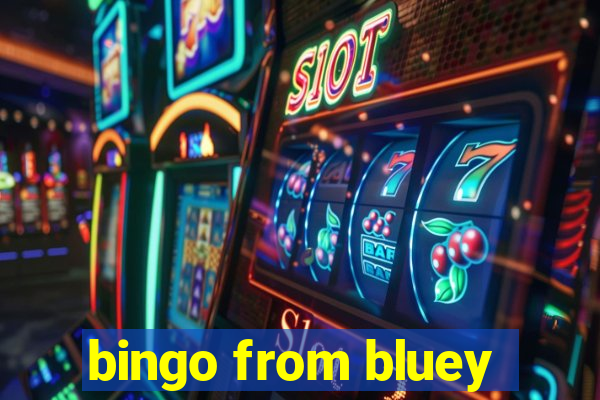 bingo from bluey