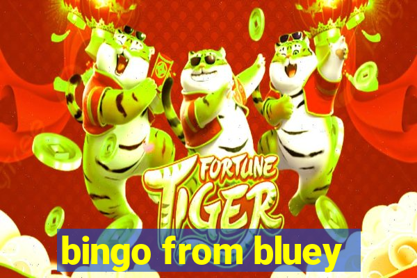 bingo from bluey