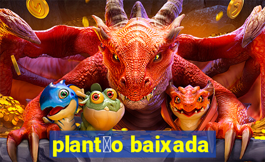 plant茫o baixada