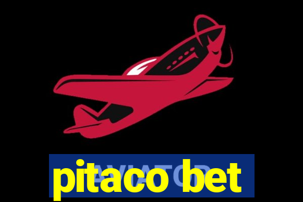 pitaco bet