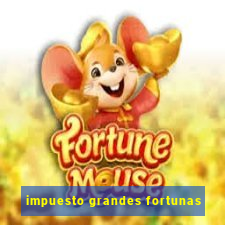 impuesto grandes fortunas