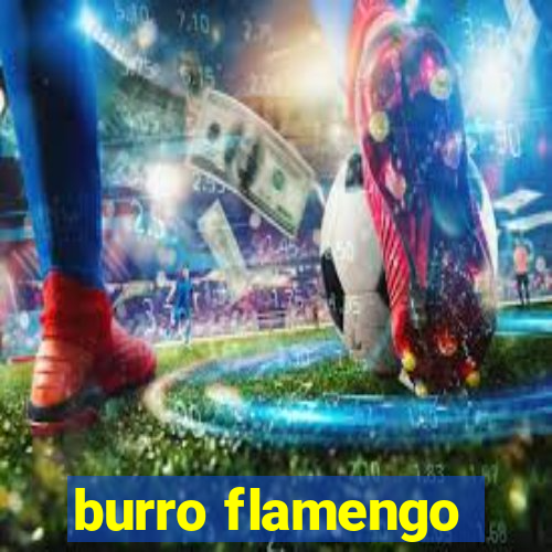 burro flamengo