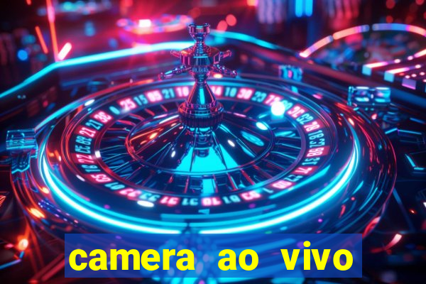 camera ao vivo beto carrero