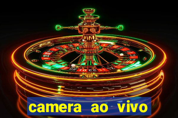 camera ao vivo beto carrero