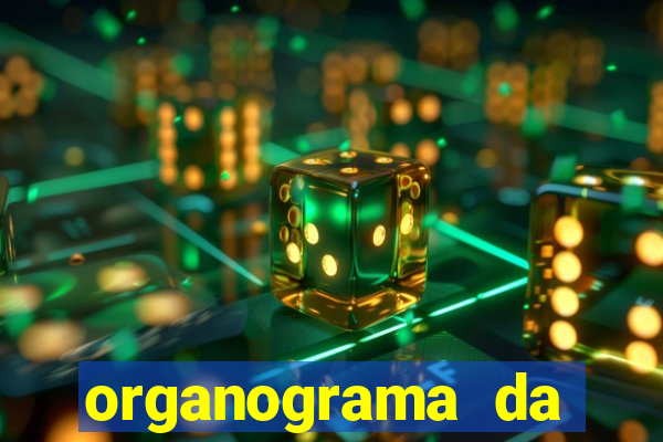 organograma da cacau show