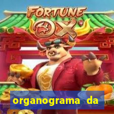 organograma da cacau show