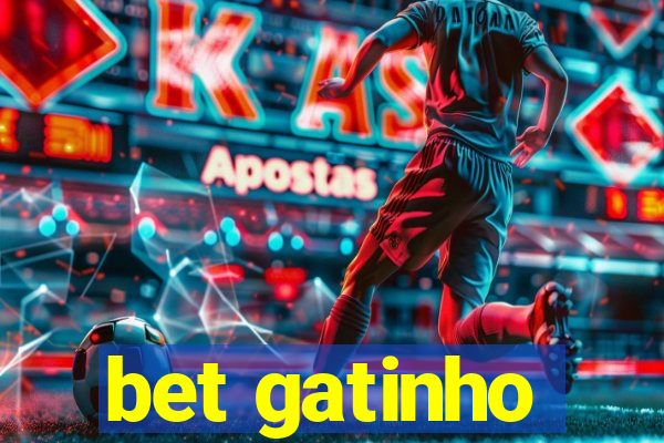 bet gatinho