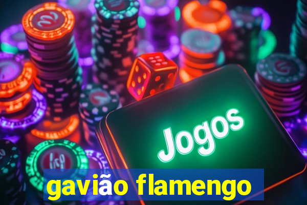 gavião flamengo