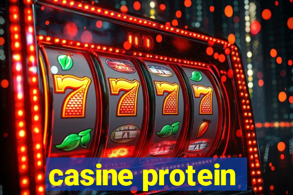 casine protein