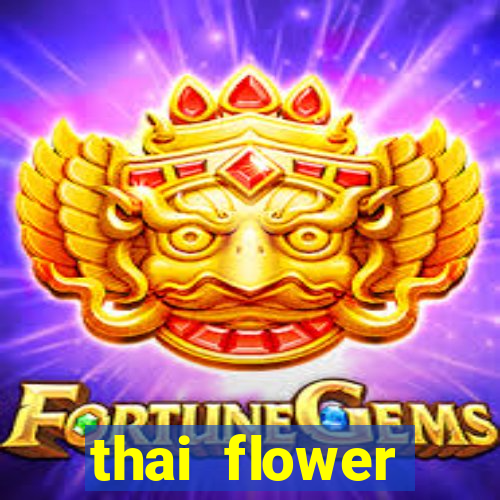 thai flower megaways slot online