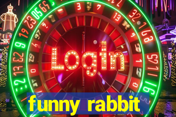 funny rabbit