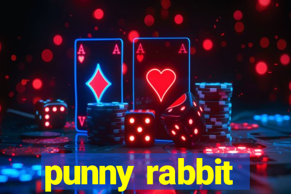 punny rabbit