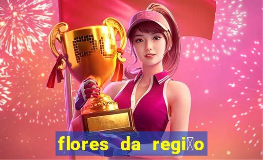 flores da regi茫o sul do brasil