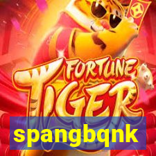 spangbqnk