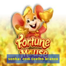 sonhar com coelho branco