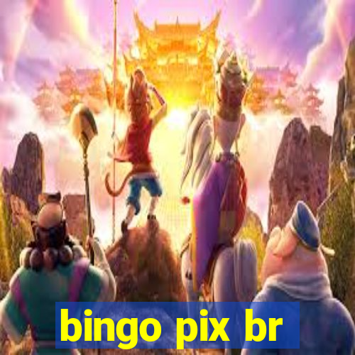 bingo pix br