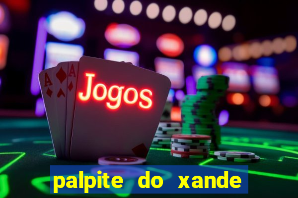 palpite do xande de hoje