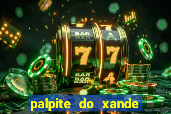 palpite do xande de hoje