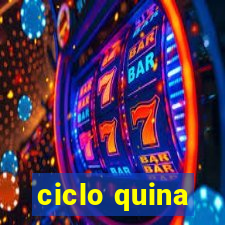 ciclo quina