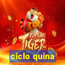 ciclo quina