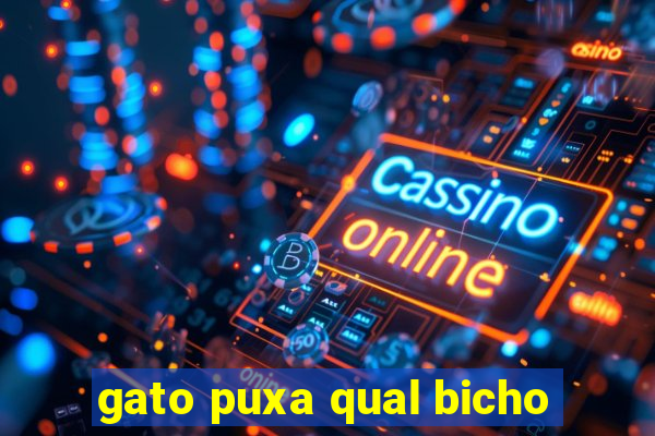 gato puxa qual bicho