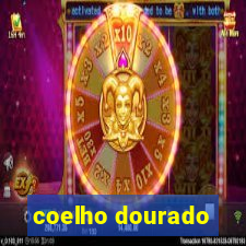 coelho dourado