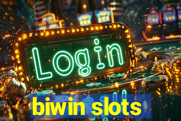 biwin slots