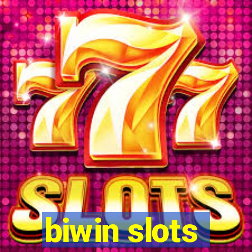 biwin slots