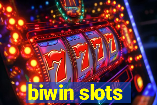 biwin slots