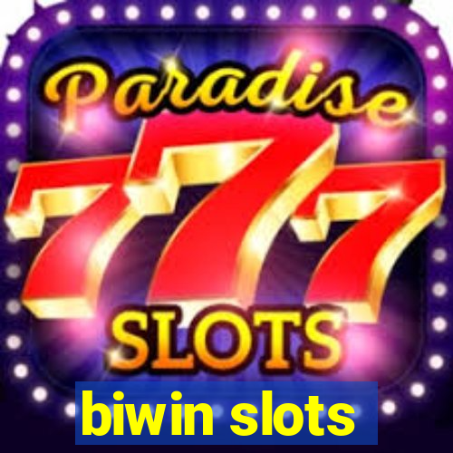 biwin slots