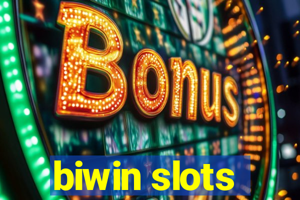 biwin slots