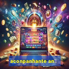 aconpanhante an茫