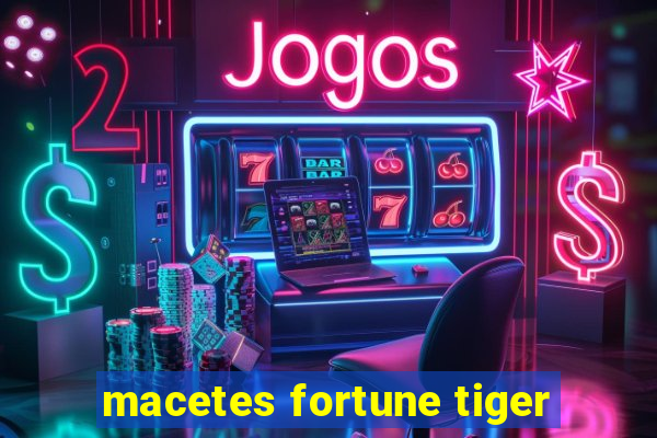 macetes fortune tiger