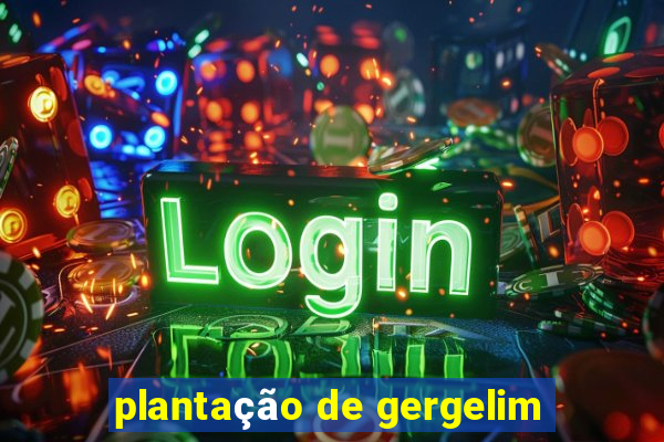 plantação de gergelim