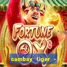 cambay tiger - seafood & meat