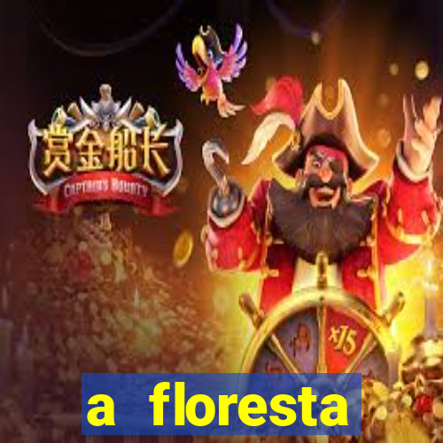 a floresta encantada meme