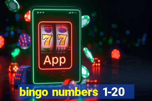 bingo numbers 1-20