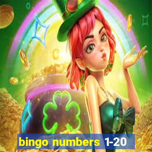 bingo numbers 1-20