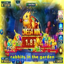 rabbits in the garden