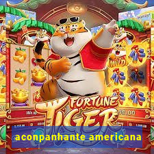 aconpanhante americana