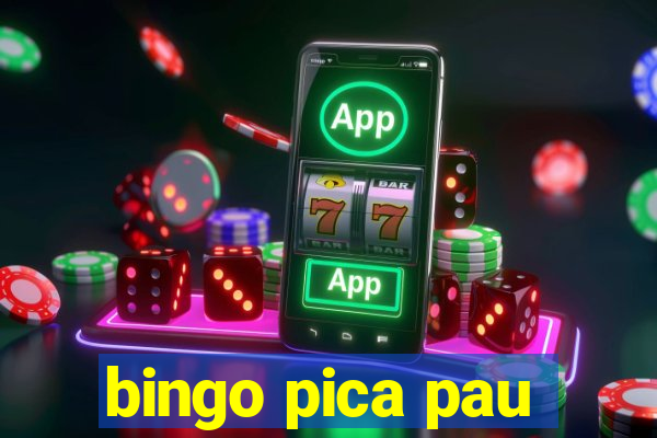 bingo pica pau