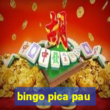 bingo pica pau