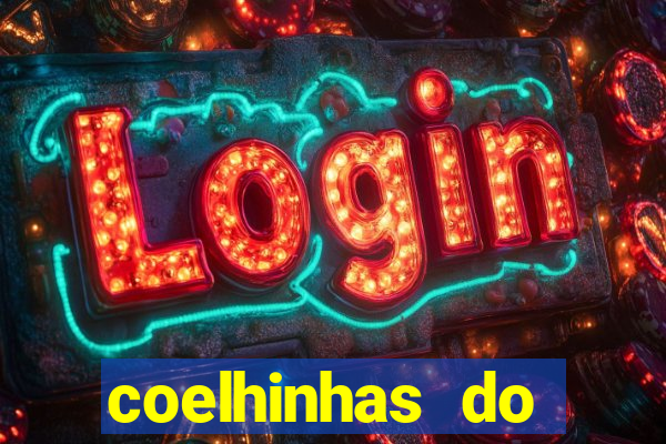 coelhinhas do brasil acompanhantes