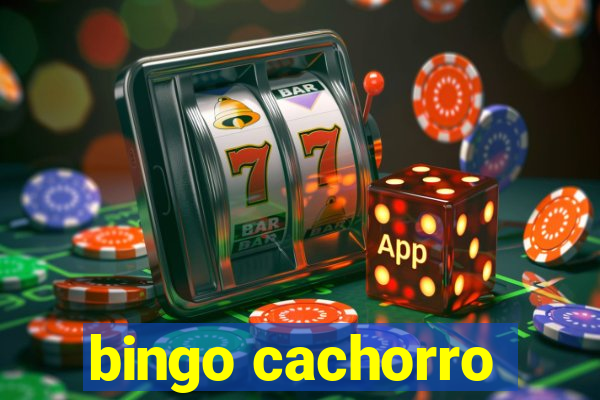 bingo cachorro