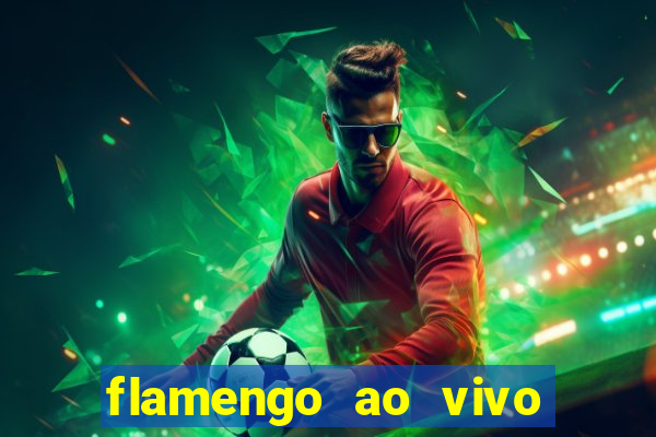 flamengo ao vivo hd play